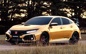 Honda Civic Type R 50 Years in Australia 2019 года